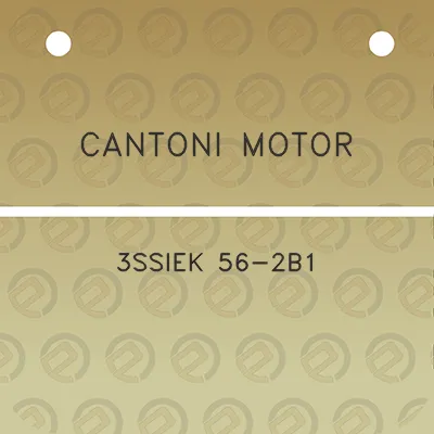 cantoni-motor-3ssiek-56-2b1