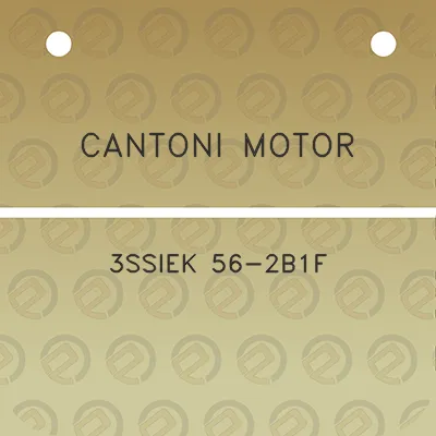 cantoni-motor-3ssiek-56-2b1f