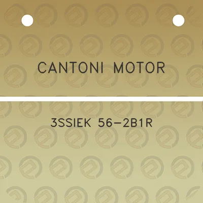 cantoni-motor-3ssiek-56-2b1r