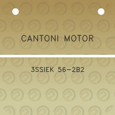 cantoni-motor-3ssiek-56-2b2