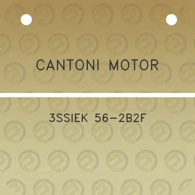 cantoni-motor-3ssiek-56-2b2f