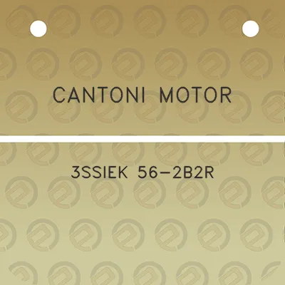 cantoni-motor-3ssiek-56-2b2r