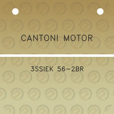 cantoni-motor-3ssiek-56-2br