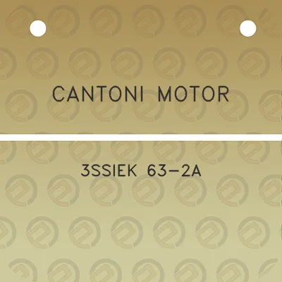 cantoni-motor-3ssiek-63-2a