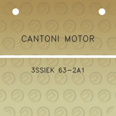 cantoni-motor-3ssiek-63-2a1