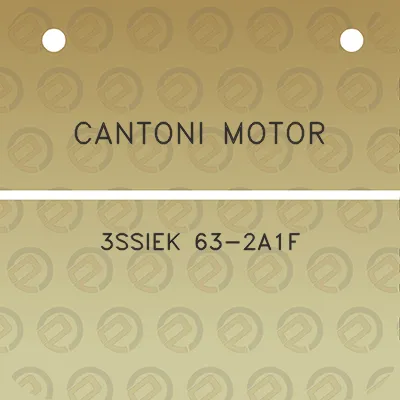 cantoni-motor-3ssiek-63-2a1f