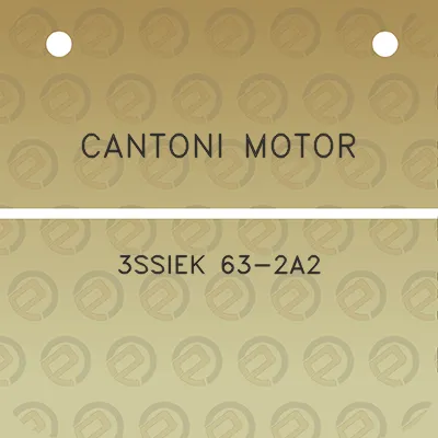 cantoni-motor-3ssiek-63-2a2