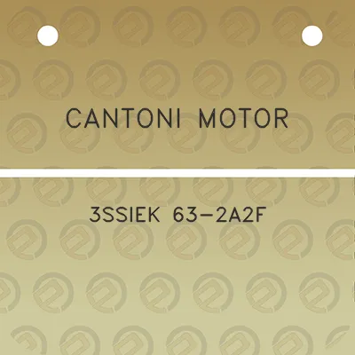 cantoni-motor-3ssiek-63-2a2f