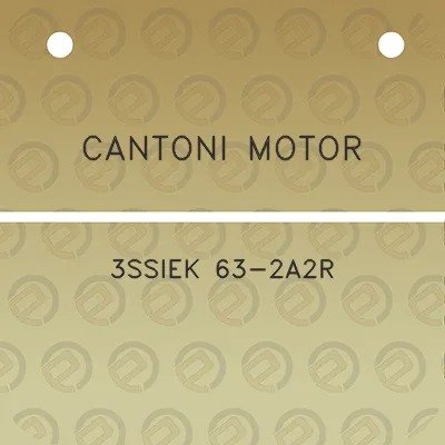 cantoni-motor-3ssiek-63-2a2r