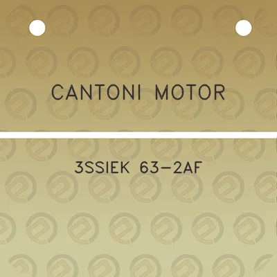 cantoni-motor-3ssiek-63-2af