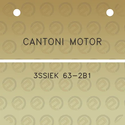 cantoni-motor-3ssiek-63-2b1