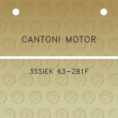 cantoni-motor-3ssiek-63-2b1f