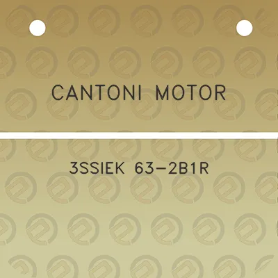 cantoni-motor-3ssiek-63-2b1r