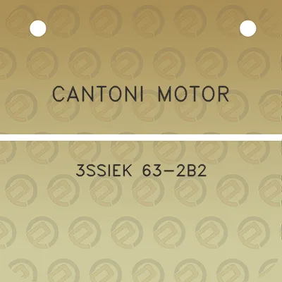 cantoni-motor-3ssiek-63-2b2