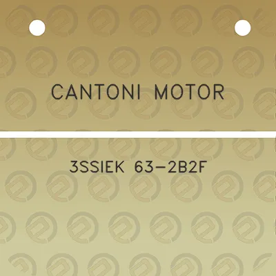 cantoni-motor-3ssiek-63-2b2f