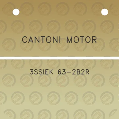 cantoni-motor-3ssiek-63-2b2r