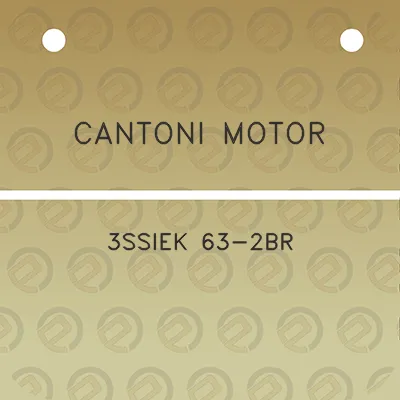 cantoni-motor-3ssiek-63-2br