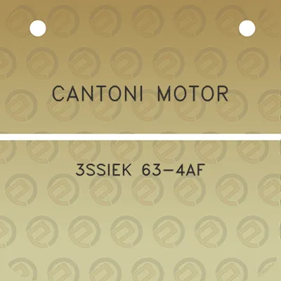 cantoni-motor-3ssiek-63-4af