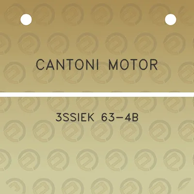 cantoni-motor-3ssiek-63-4b