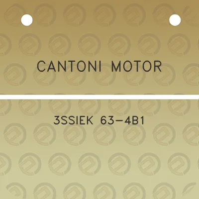 cantoni-motor-3ssiek-63-4b1