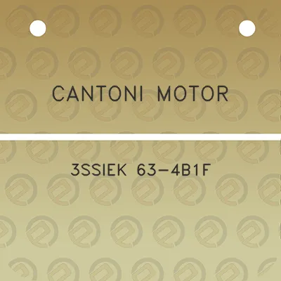 cantoni-motor-3ssiek-63-4b1f