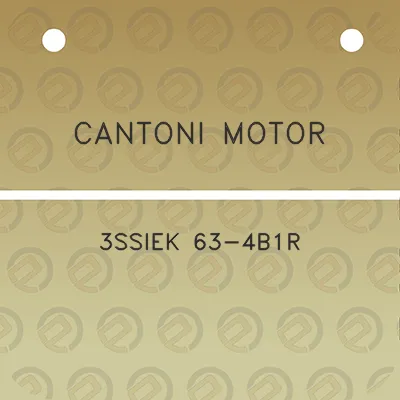 cantoni-motor-3ssiek-63-4b1r