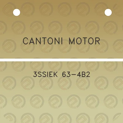 cantoni-motor-3ssiek-63-4b2