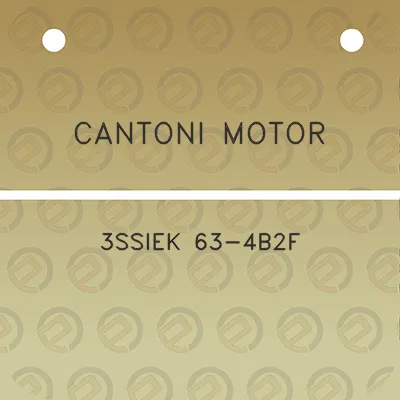 cantoni-motor-3ssiek-63-4b2f