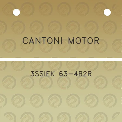 cantoni-motor-3ssiek-63-4b2r