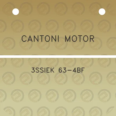 cantoni-motor-3ssiek-63-4bf