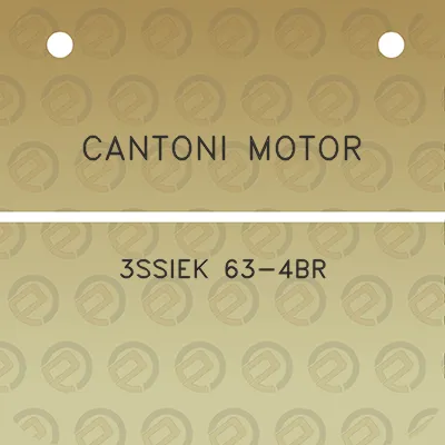 cantoni-motor-3ssiek-63-4br