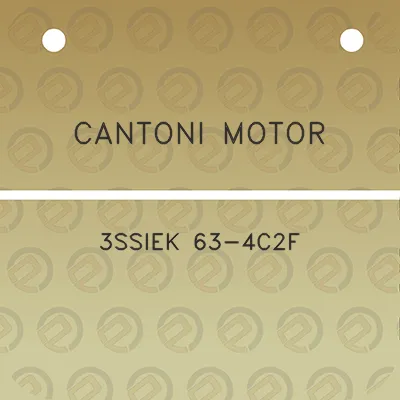 cantoni-motor-3ssiek-63-4c2f