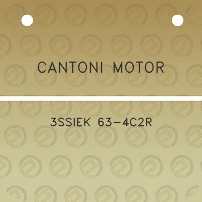 cantoni-motor-3ssiek-63-4c2r