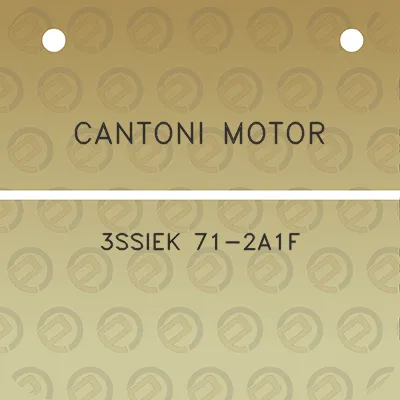 cantoni-motor-3ssiek-71-2a1f