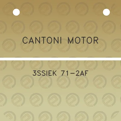 cantoni-motor-3ssiek-71-2af