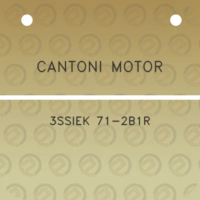 cantoni-motor-3ssiek-71-2b1r