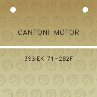 cantoni-motor-3ssiek-71-2b2f