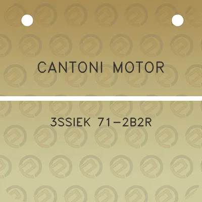 cantoni-motor-3ssiek-71-2b2r