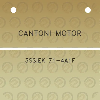 cantoni-motor-3ssiek-71-4a1f