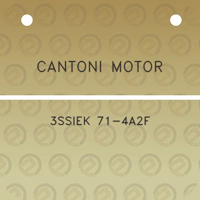 cantoni-motor-3ssiek-71-4a2f