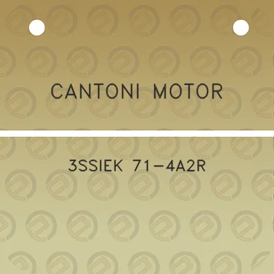 cantoni-motor-3ssiek-71-4a2r