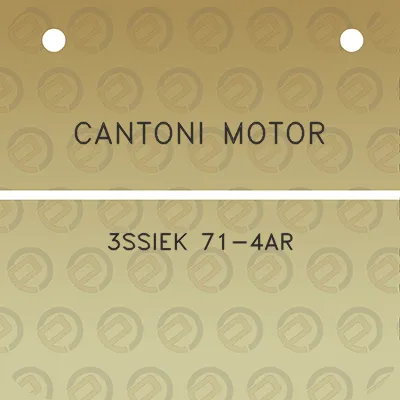 cantoni-motor-3ssiek-71-4ar