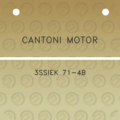 cantoni-motor-3ssiek-71-4b