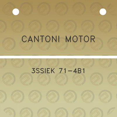 cantoni-motor-3ssiek-71-4b1