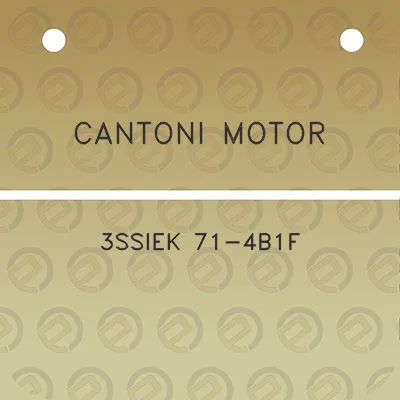 cantoni-motor-3ssiek-71-4b1f