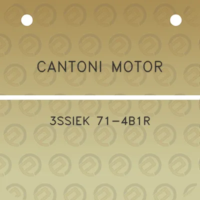 cantoni-motor-3ssiek-71-4b1r