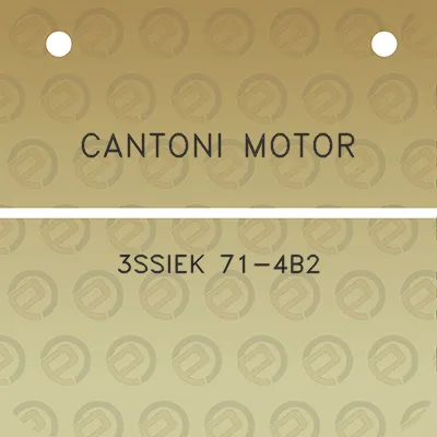 cantoni-motor-3ssiek-71-4b2