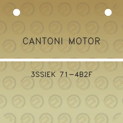 cantoni-motor-3ssiek-71-4b2f