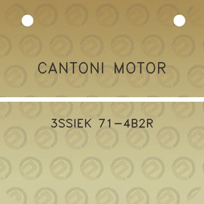 cantoni-motor-3ssiek-71-4b2r