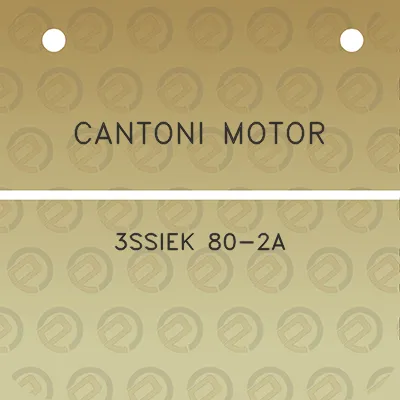 cantoni-motor-3ssiek-80-2a